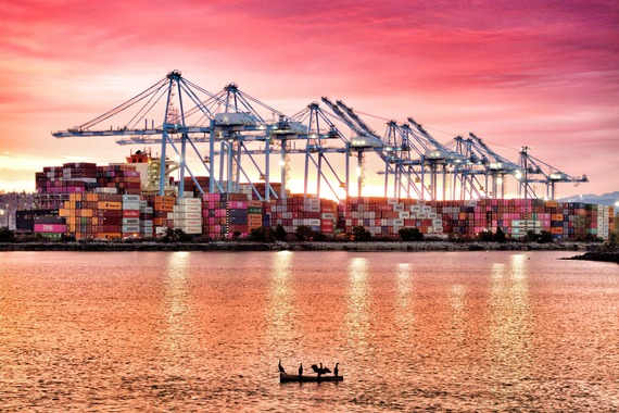 husky terminal sunset