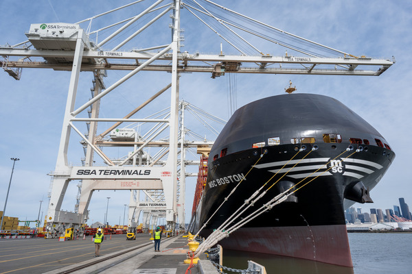 MSC Boston at Terminal 5