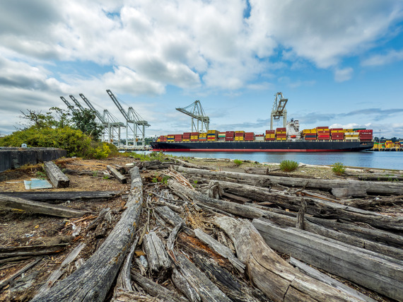 an MSC vessel seen accross driftwood and the waterway