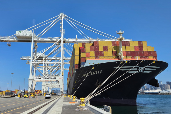 MSC Katie at T5 2026