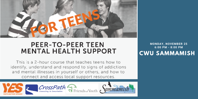 Peer-to-Peer Teen Mental Health Support