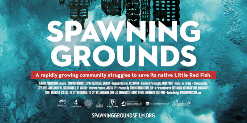 Spawning Grounds film premiere