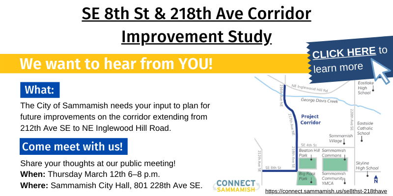 SE 8th St. & 218th Ave. Corridor Improvement Study