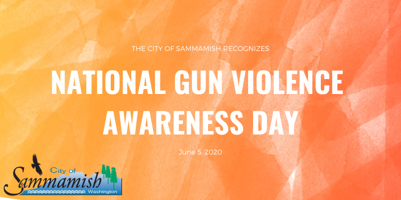 National Gun Violence Awareness Day