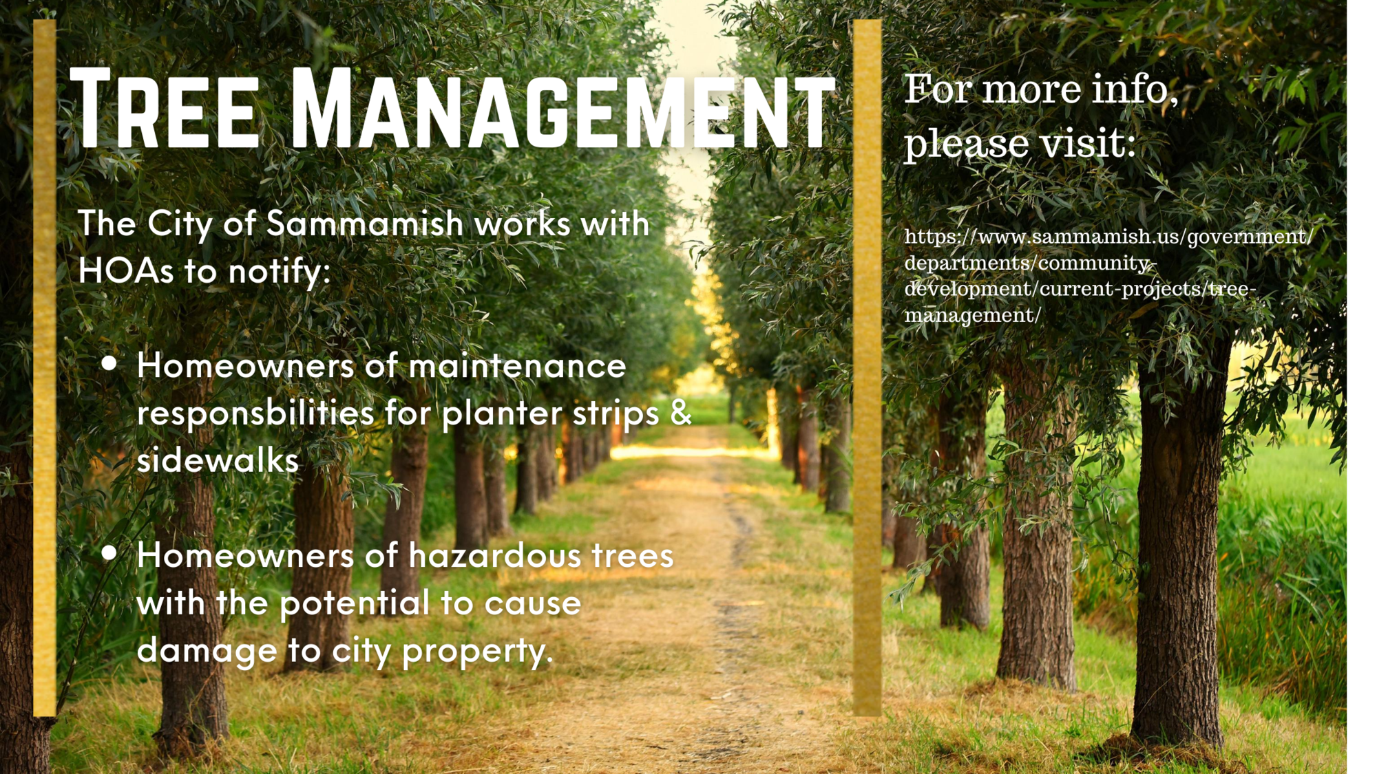 tree management