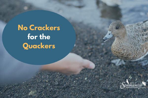 quackers