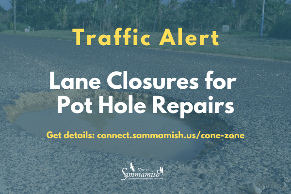 pot holes