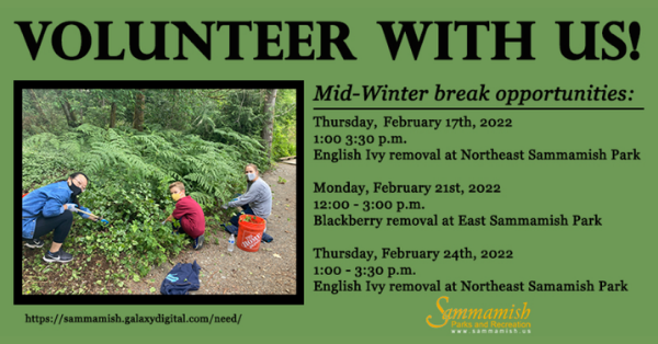 Mid-Winter Break Volunteers