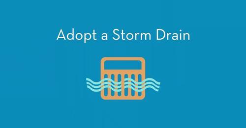 adopt a drain