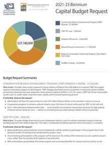 Capital Budget Handout