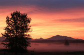 Colorful sunrise with orange, red, and pink. There is a layer of fog with mountains visible in the background and tree in foreground