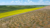 Example of conservation tillage in the Palouse