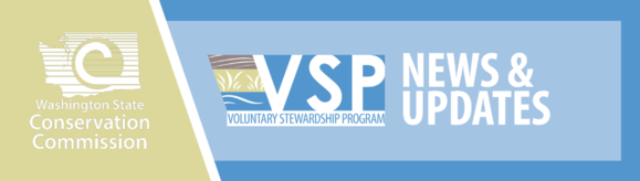 VSP News and Updates