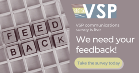 VSP Survey