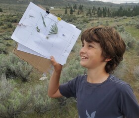 A middle school student collects plants to identify