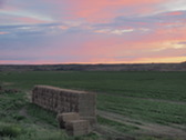 hay at sunset