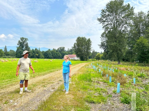 Where the buffer meets the road