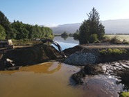 Reconnecting Habitat