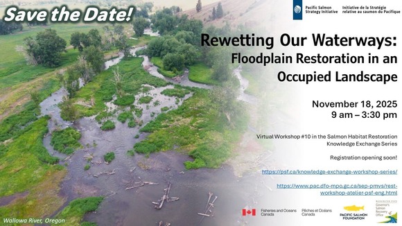 Rewetting our Waterways