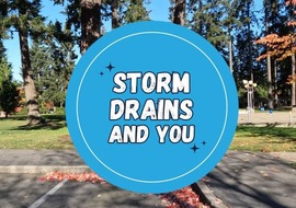 adopt a drain