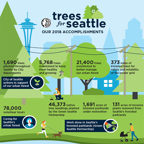 Trees for Seattle Graphic