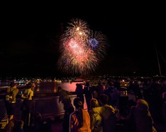Large fireworks display in night sky