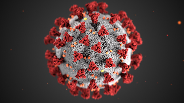 Coronavirus illustration from CDC