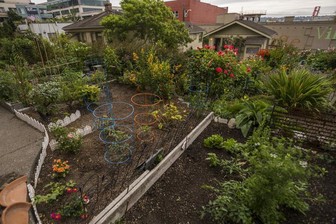 Belltown Garden 