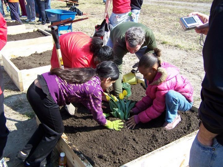 kids gardening