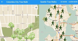 Screen shot of Tree Walk app