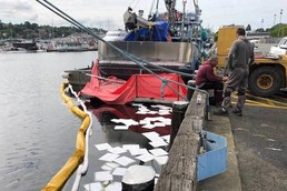 Sinking Vessel at Fisherman's Terminal
