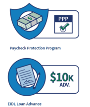 PPP and EIDL Loan graphics