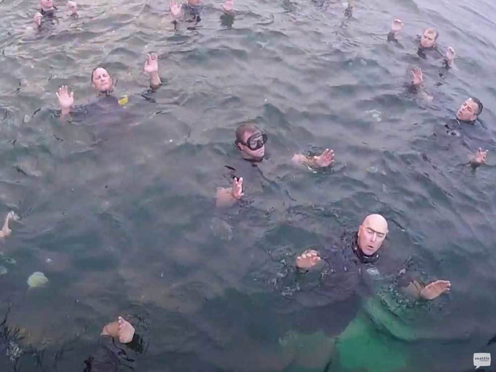 Rescue Swimmers
