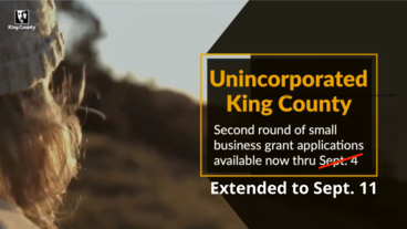 Unincoporated King County Small Business Grants