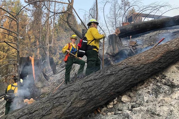 SFD Wildland Team Deployed to West Coast wildfires