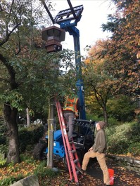 Workers updating Kobe Terrace Lighting