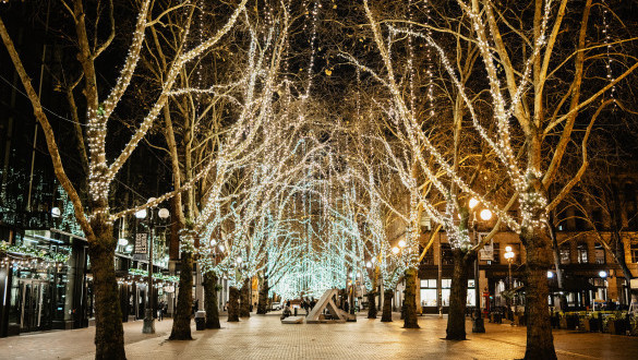 Holiday lights in Occidental Park