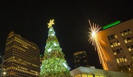 Christmas tree with lights in Westlake