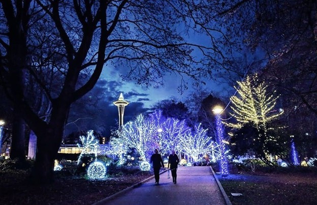 Image showing Center campus at night with holiday lights in trees and Space Needle in background