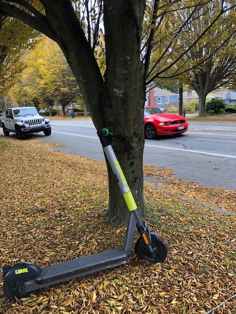 Link scooter among fall leaves on the sidewalk in West Seattle.