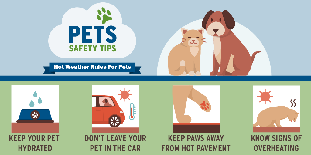 Pet Safety