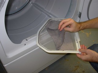 dryer lint