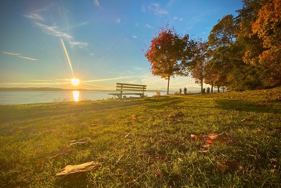 A waterfront park on a sunny fall day. There's a bench, a walking path with people and leaves on the ground.