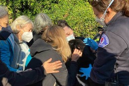 Dog rescued from collapsed home from last week's landslide near the 2400 block of Perkins Lane West
