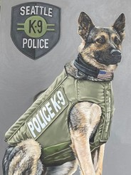 K9 Jedi
