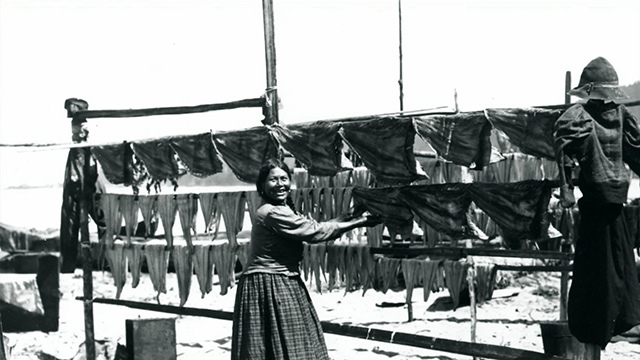 Historical photo of Native Americans drying salmon