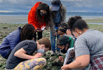 A group of students kneel down on a beach exploring a tidepool 
