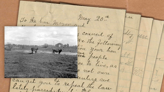 A petition and accompanying photographs of cows