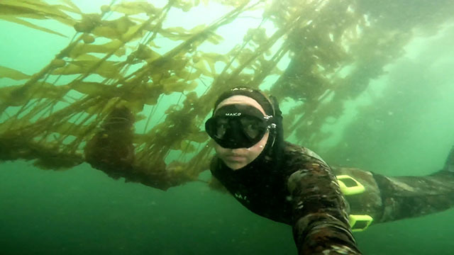 Diver swims through green water and kelp.