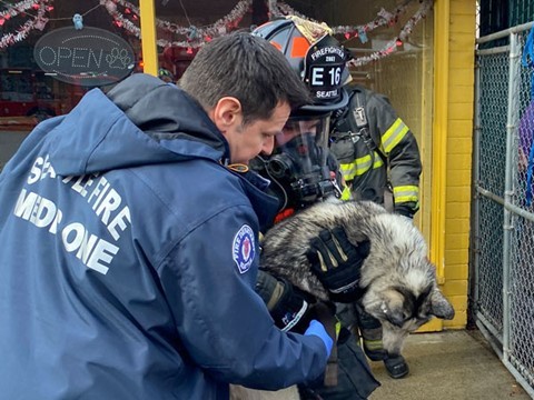 Firefighters responding to fire in doggy daycare facility on Lake City Way